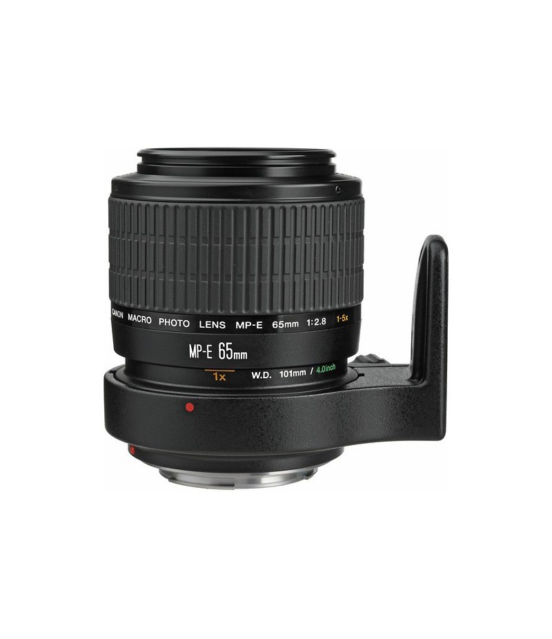 Canon MP-E 65mm f/2.8 1-5x Macro Photo